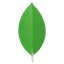 MongoDB MongoDB